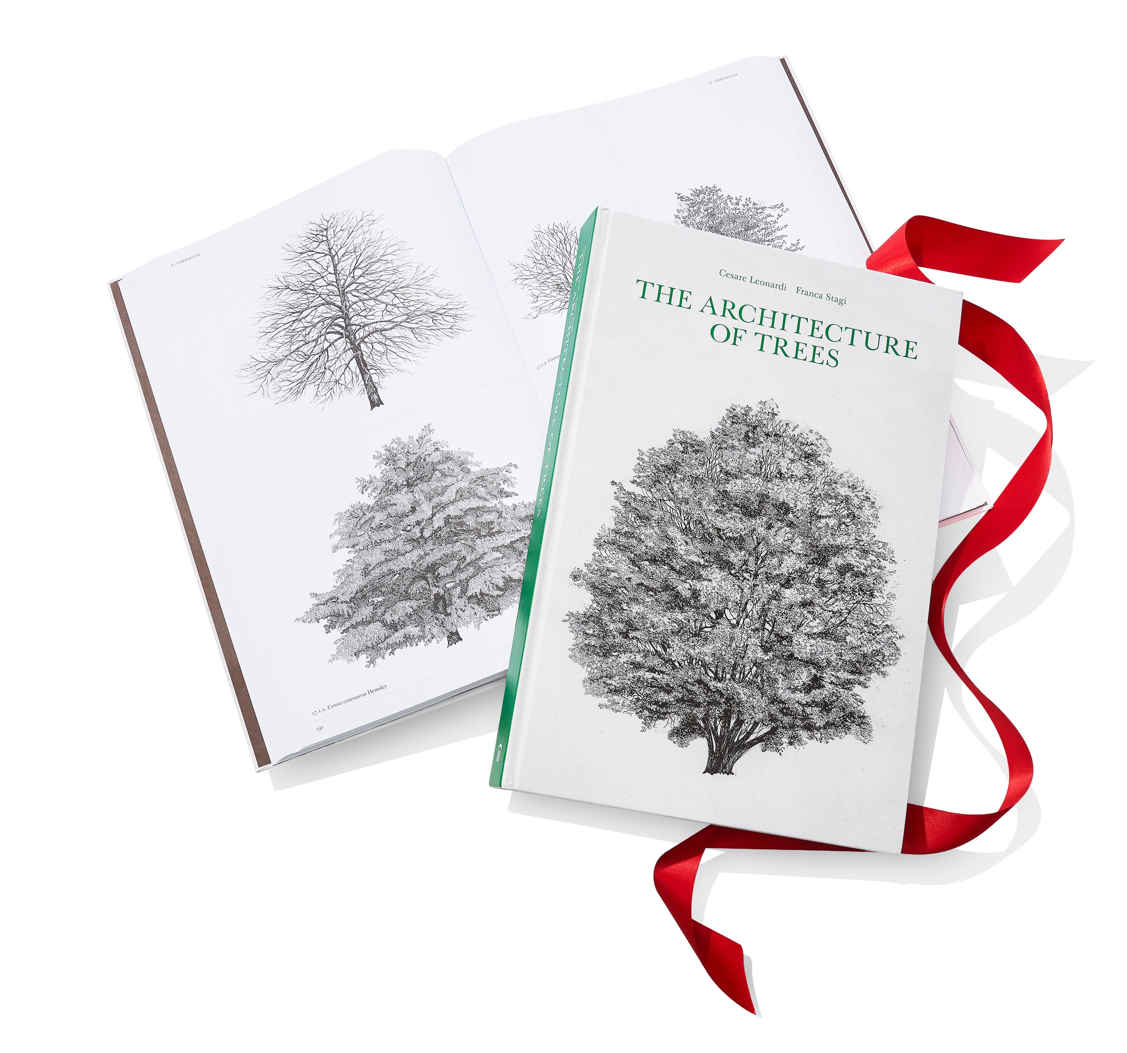 The Architecture of Trees Hardcover Book
