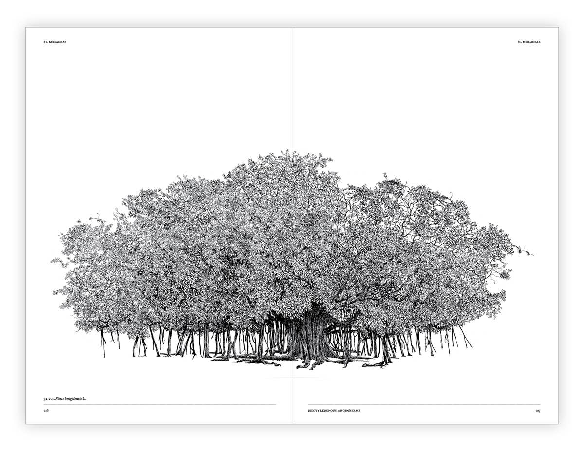 The Architecture of Trees Hardcover Book