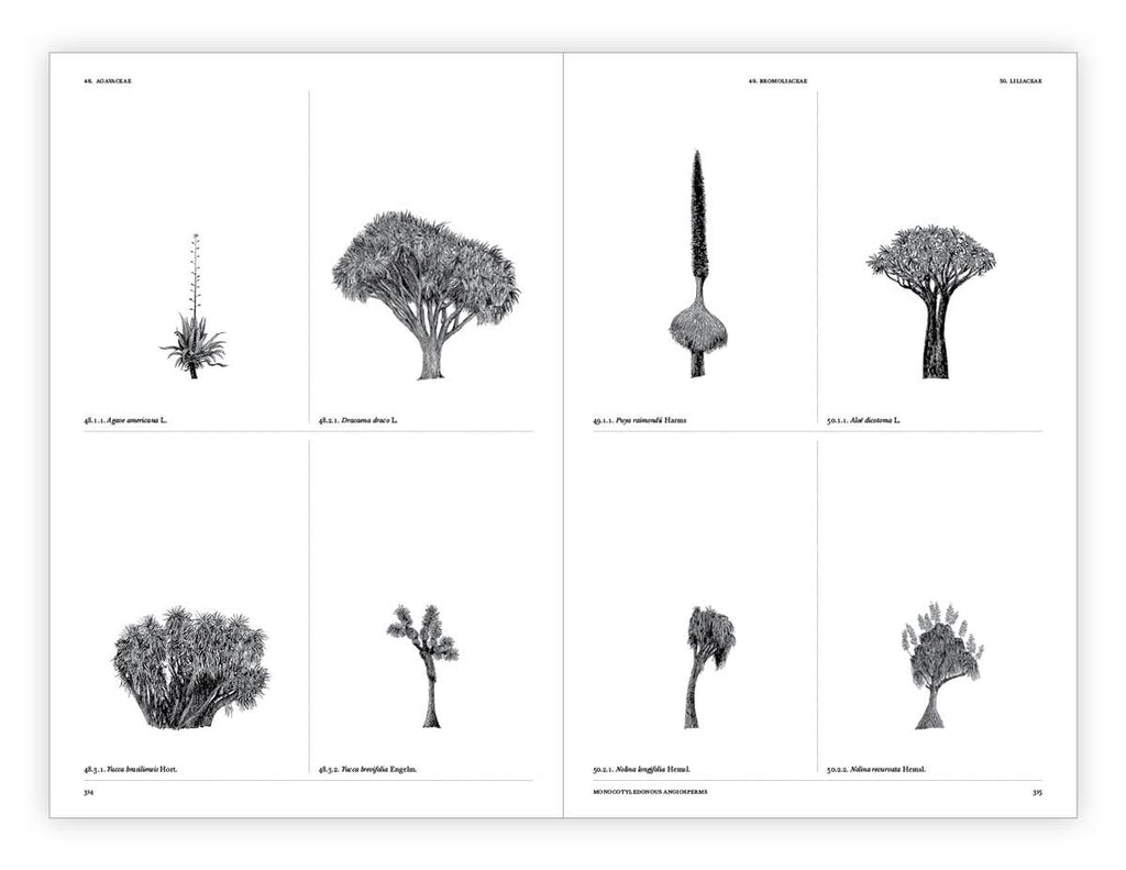 The Architecture of Trees Hardcover Book