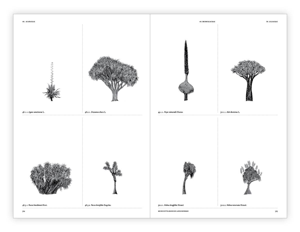 The Architecture of Trees Hardcover Book