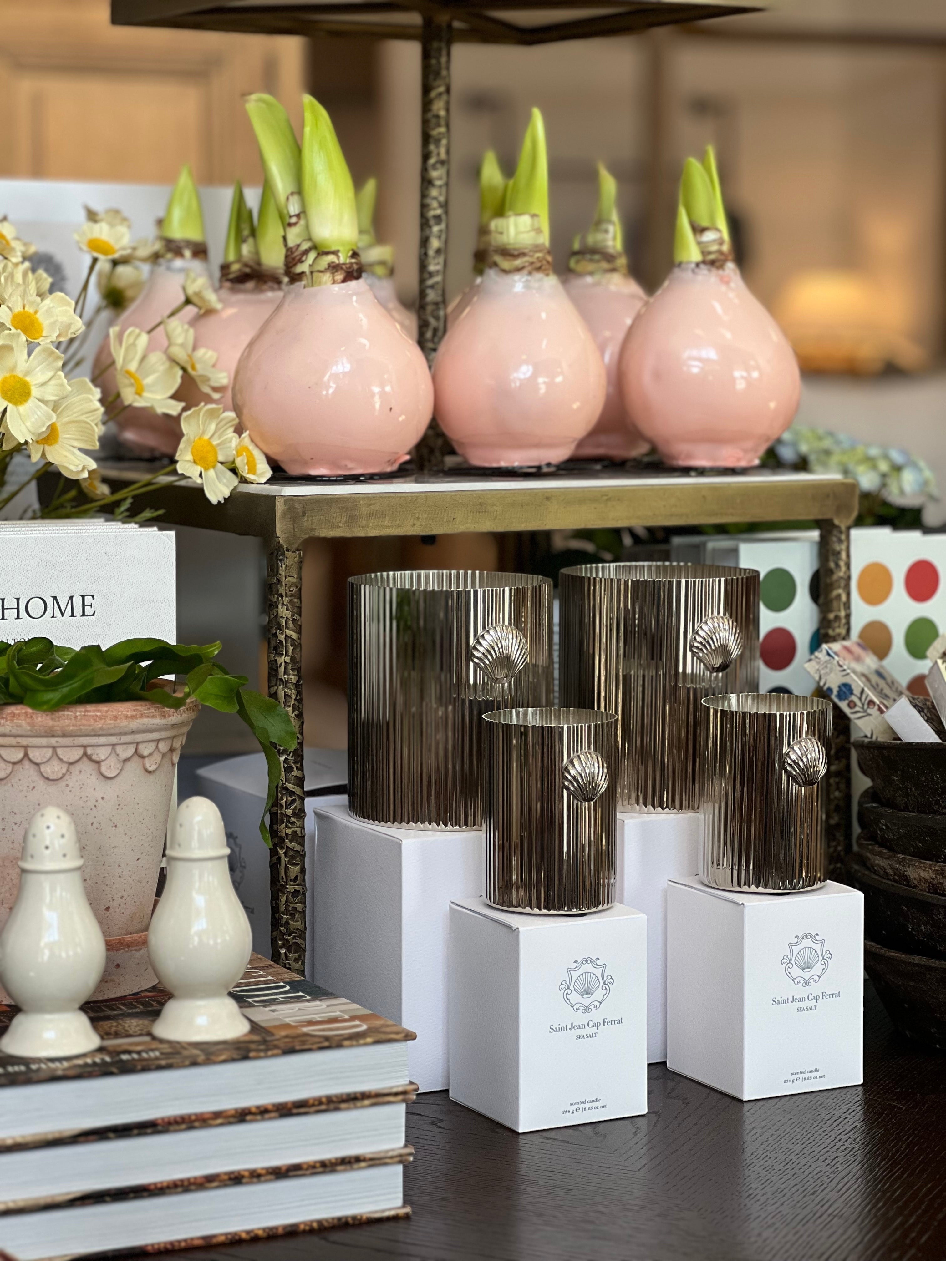 Cap Ferrat Shell Candle, Sea Salt