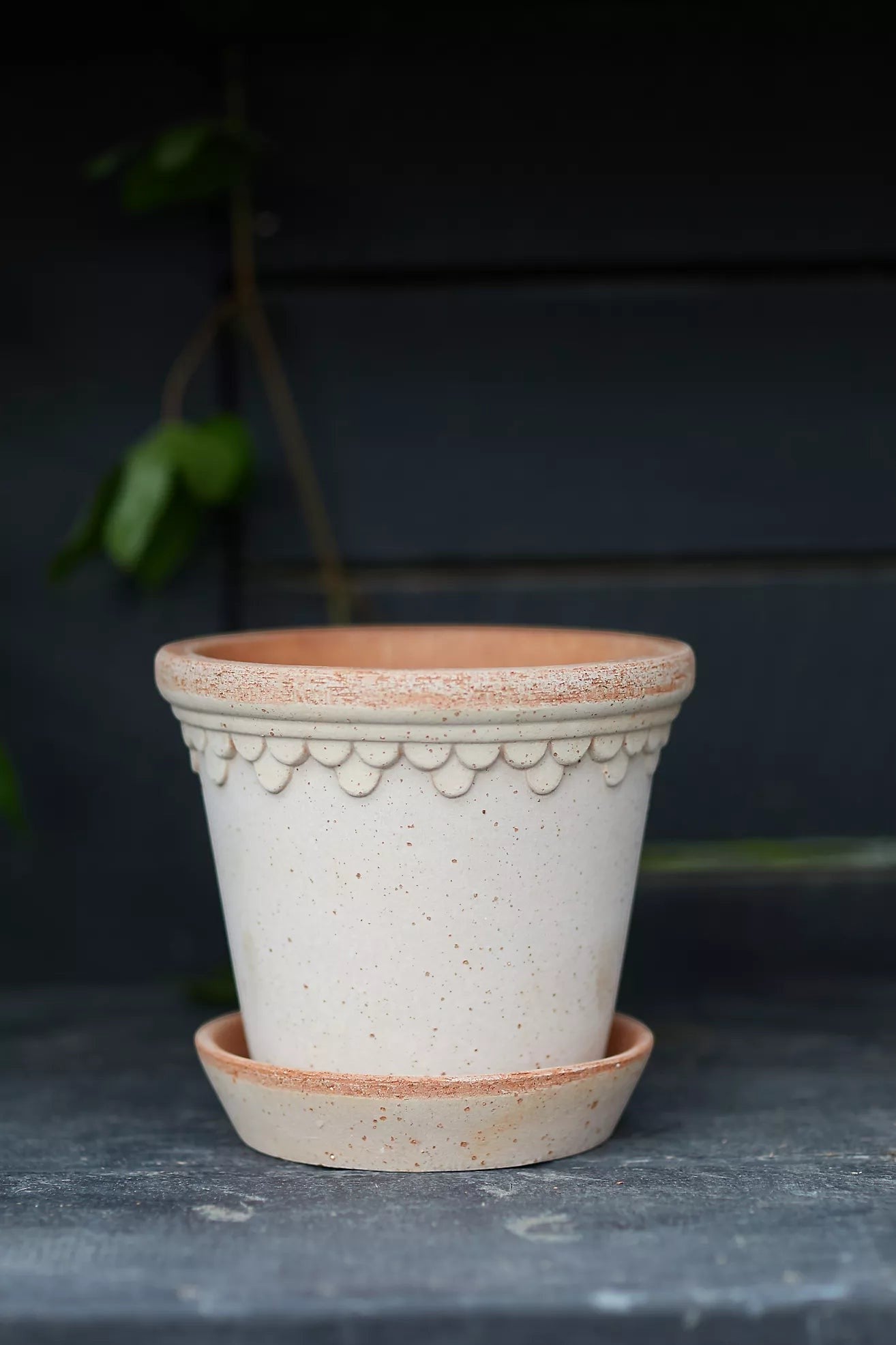 Kobenhavner Rosa Pot + Saucer