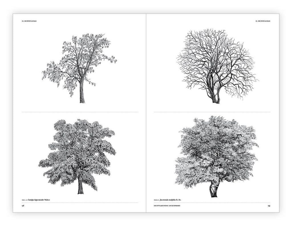 The Architecture of Trees Hardcover Book