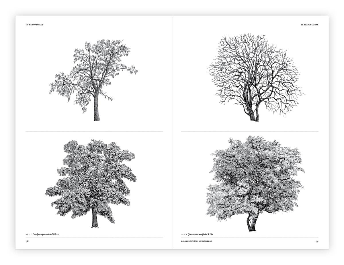 The Architecture of Trees Hardcover Book
