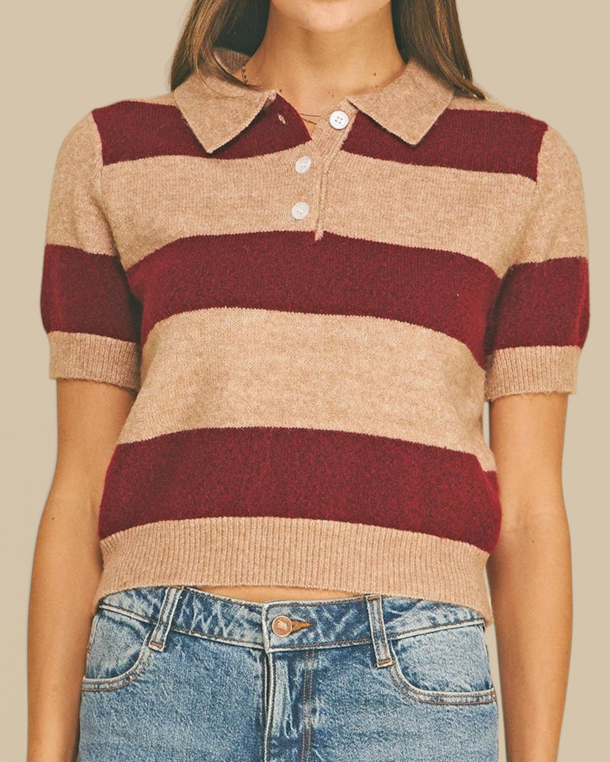 Homestyle Collective burgundy and beige striped short sleeve knit sweater with a collared button-down neckline.