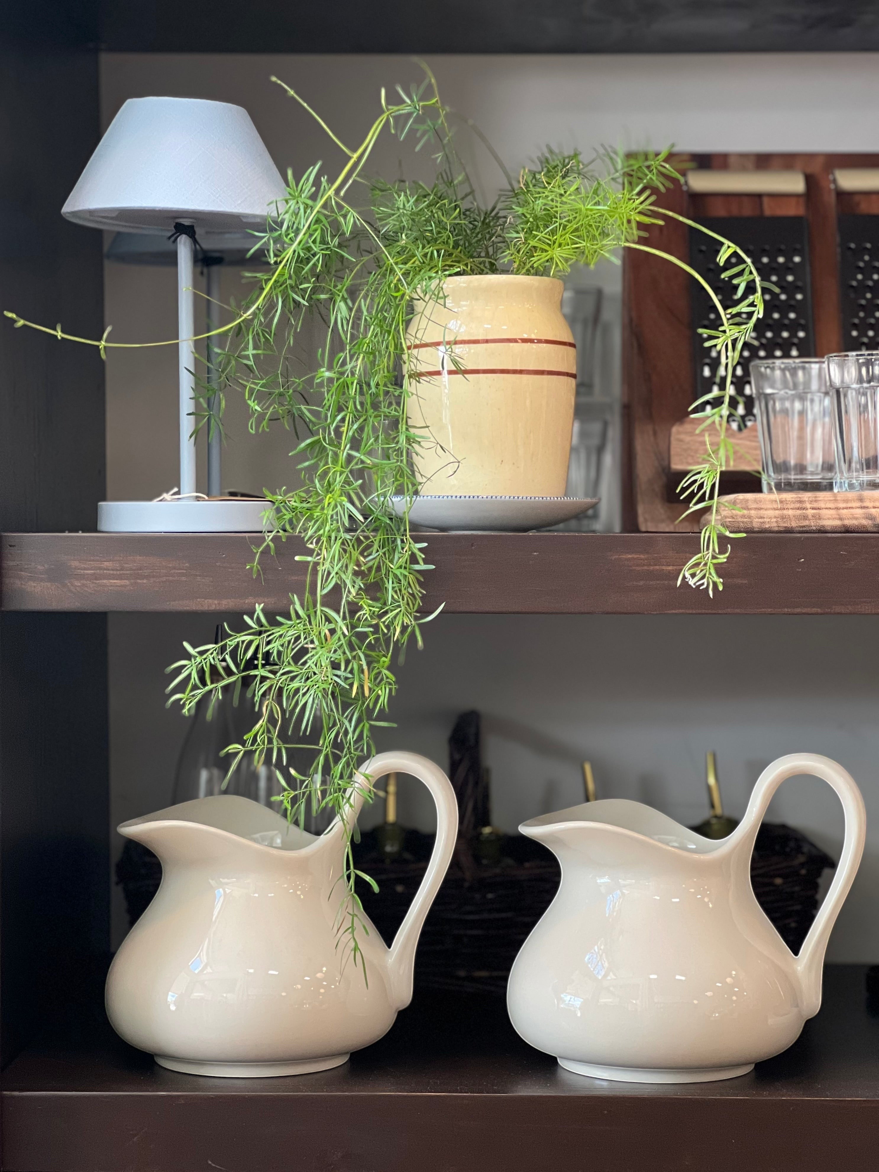 Aviary Stoneware Pitcher