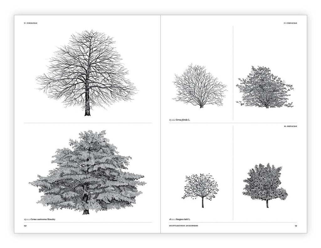 The Architecture of Trees Hardcover Book