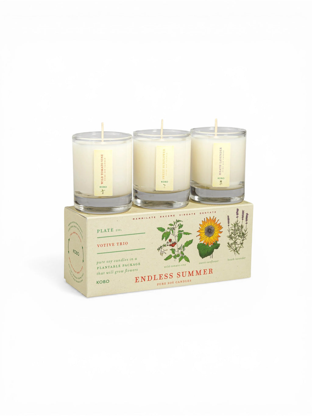 Endless Summer Plant the Box Votive Candle Trio