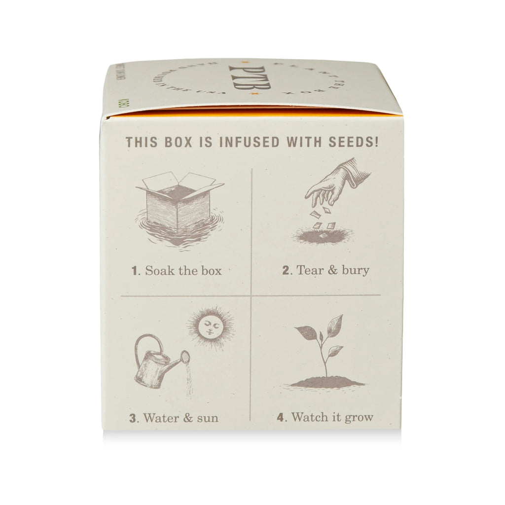 Somerset Thyme Candle