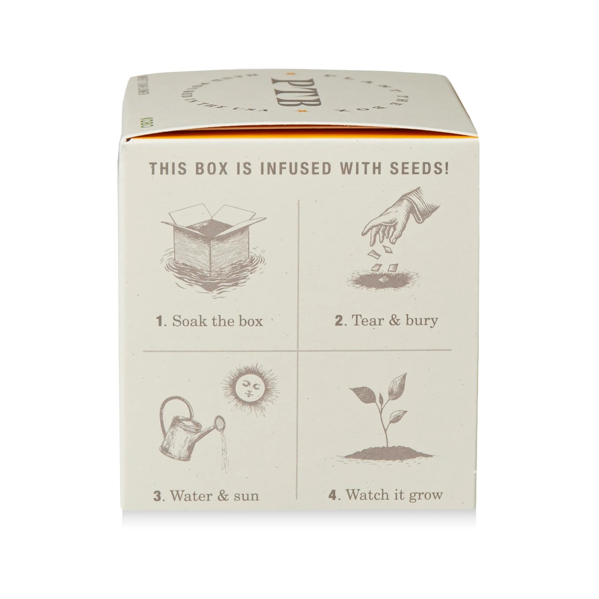 Wild Tomato Vine Candle