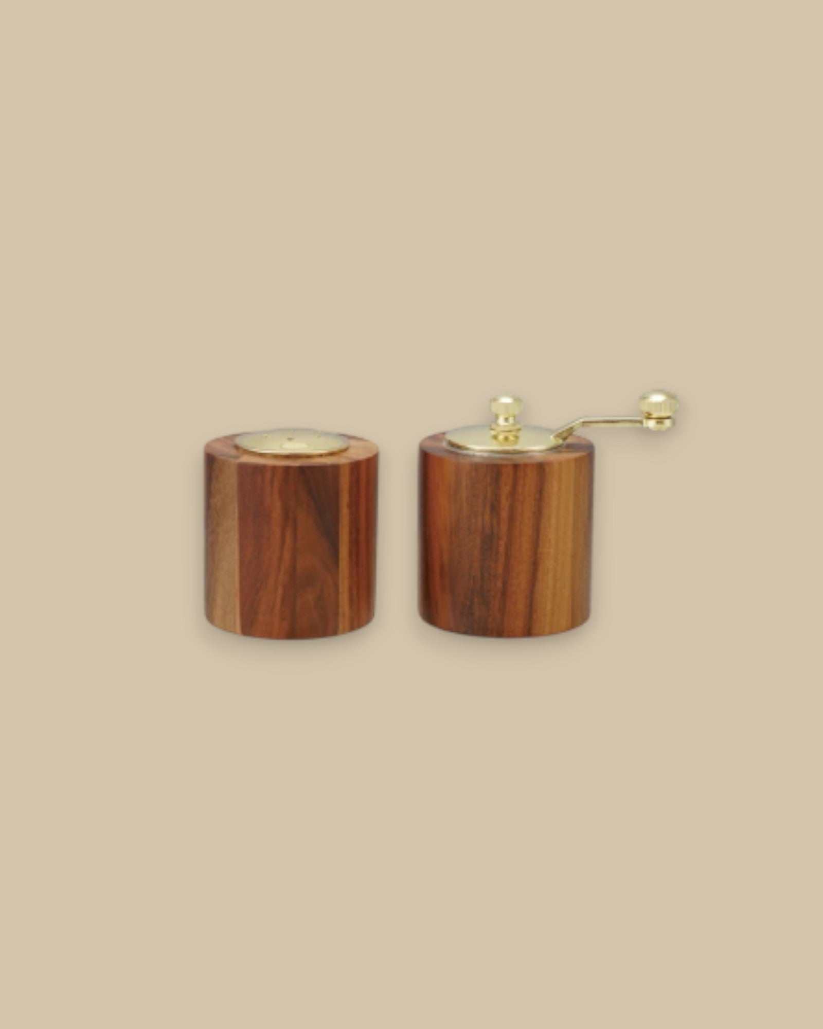 Sunlit Seasoning Duo