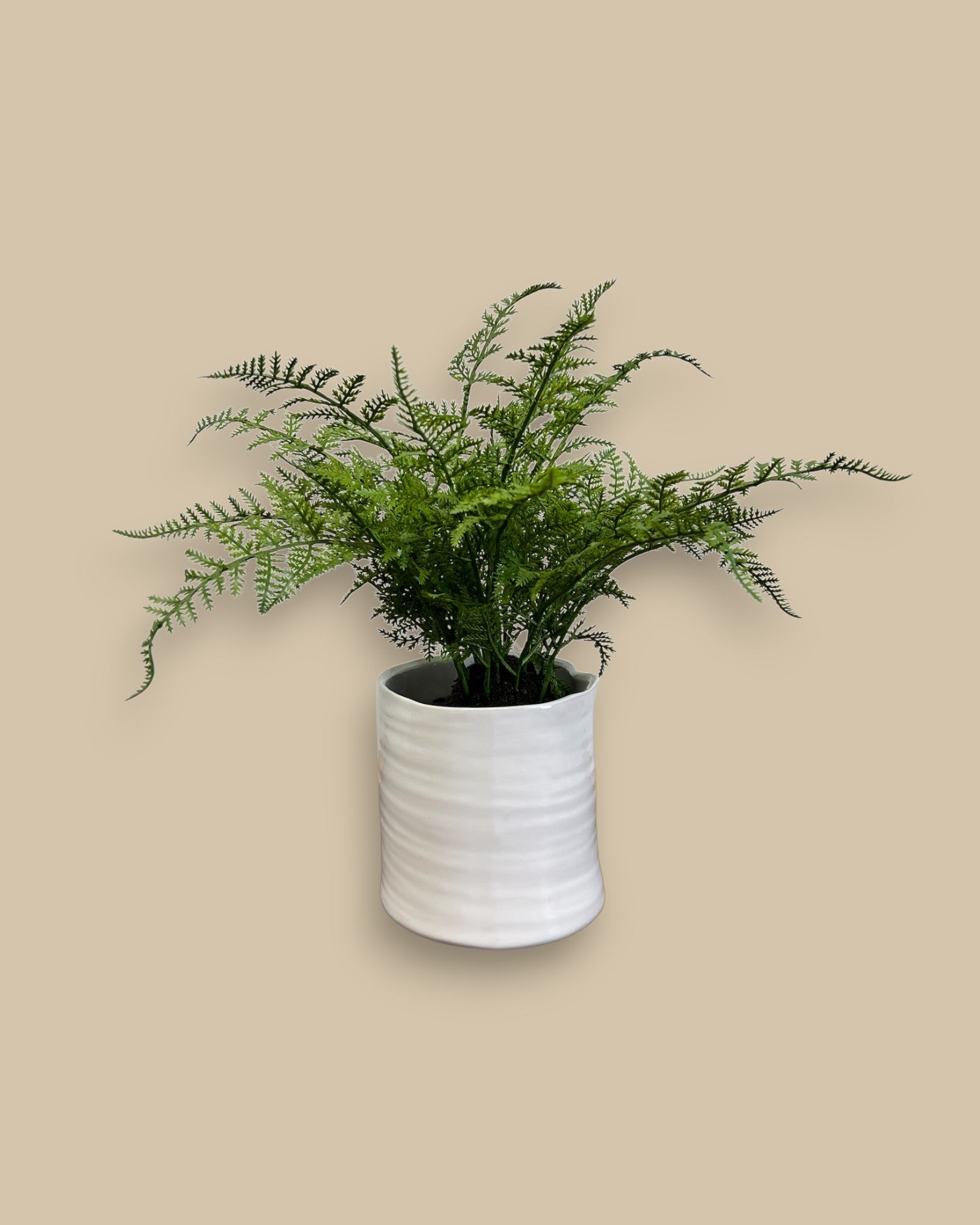 Alva Ceramic Pot