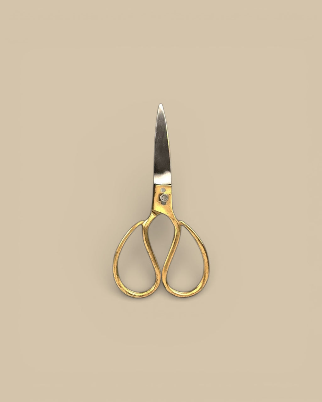 Brass & Steel Utility Shears