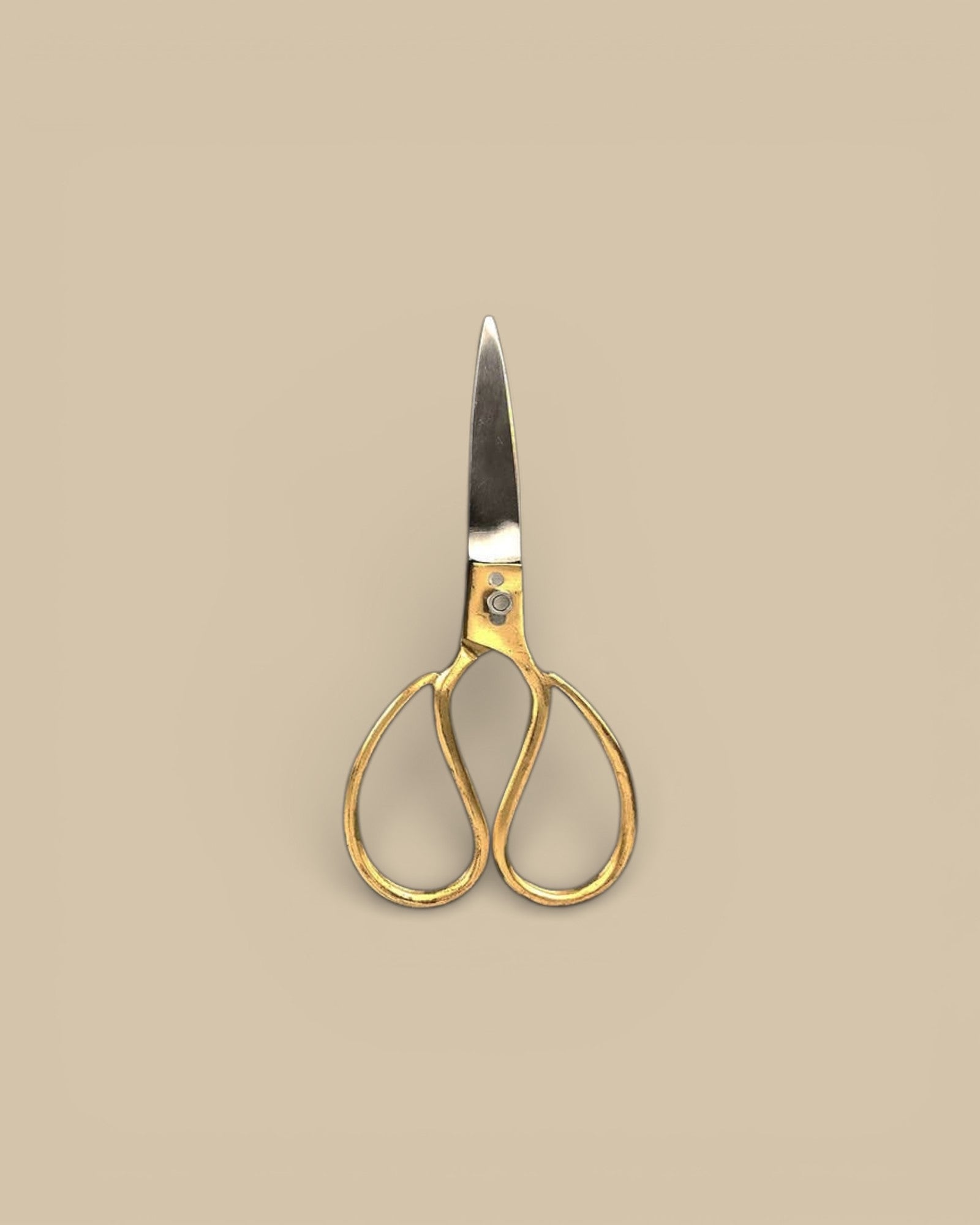 Brass & Steel Utility Shears