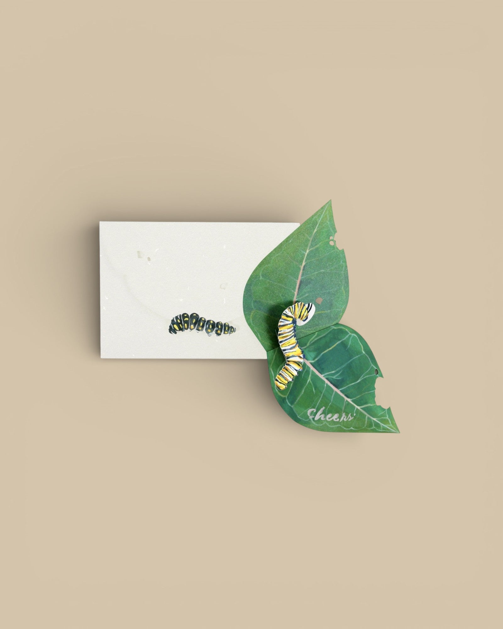 Caterpillar Pop-Up Card