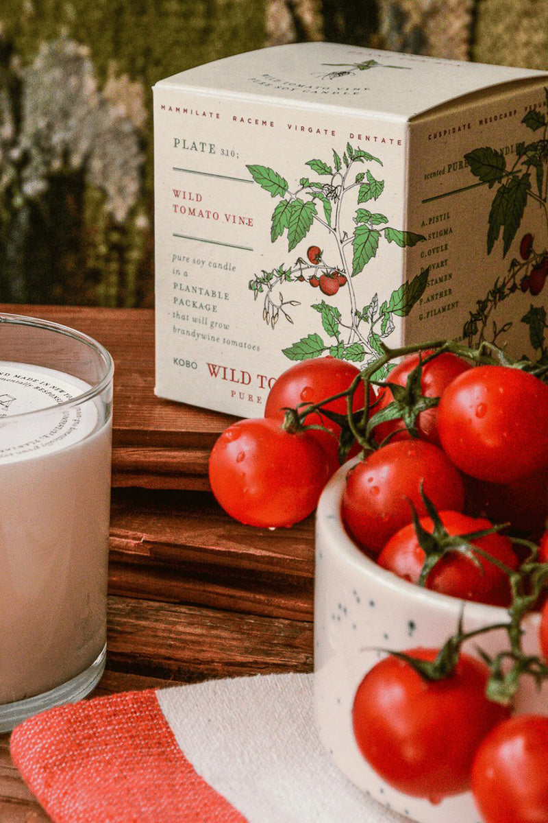 Wild Tomato Vine Candle