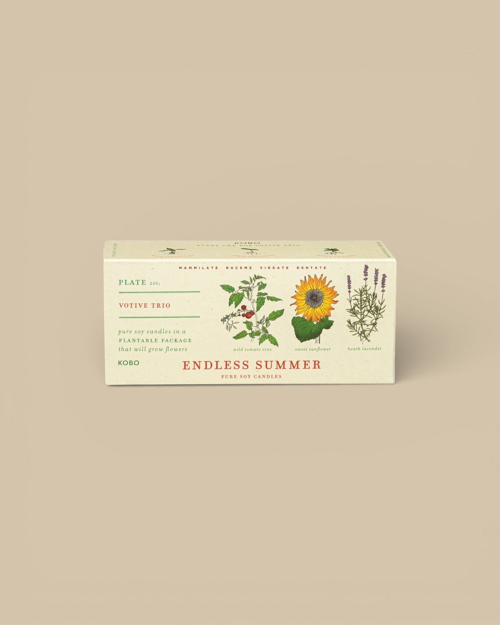 Endless Summer Plant the Box Votive Candle Trio