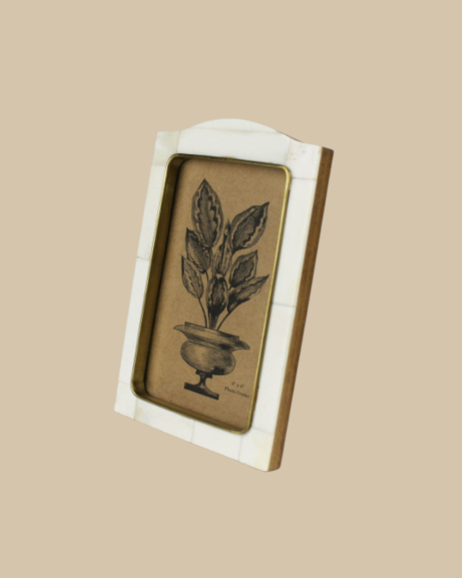 Bone Inner Brass Frame 4x6