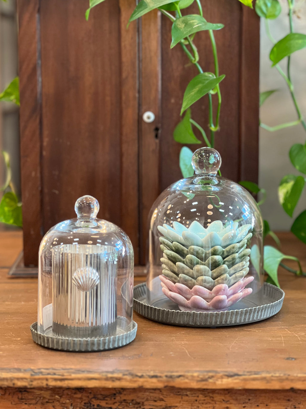 Clear Glass Dome