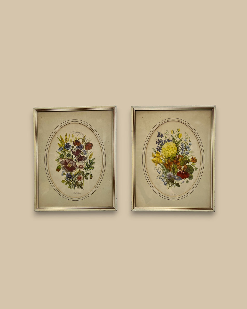Framed Vintage Botanical Prints