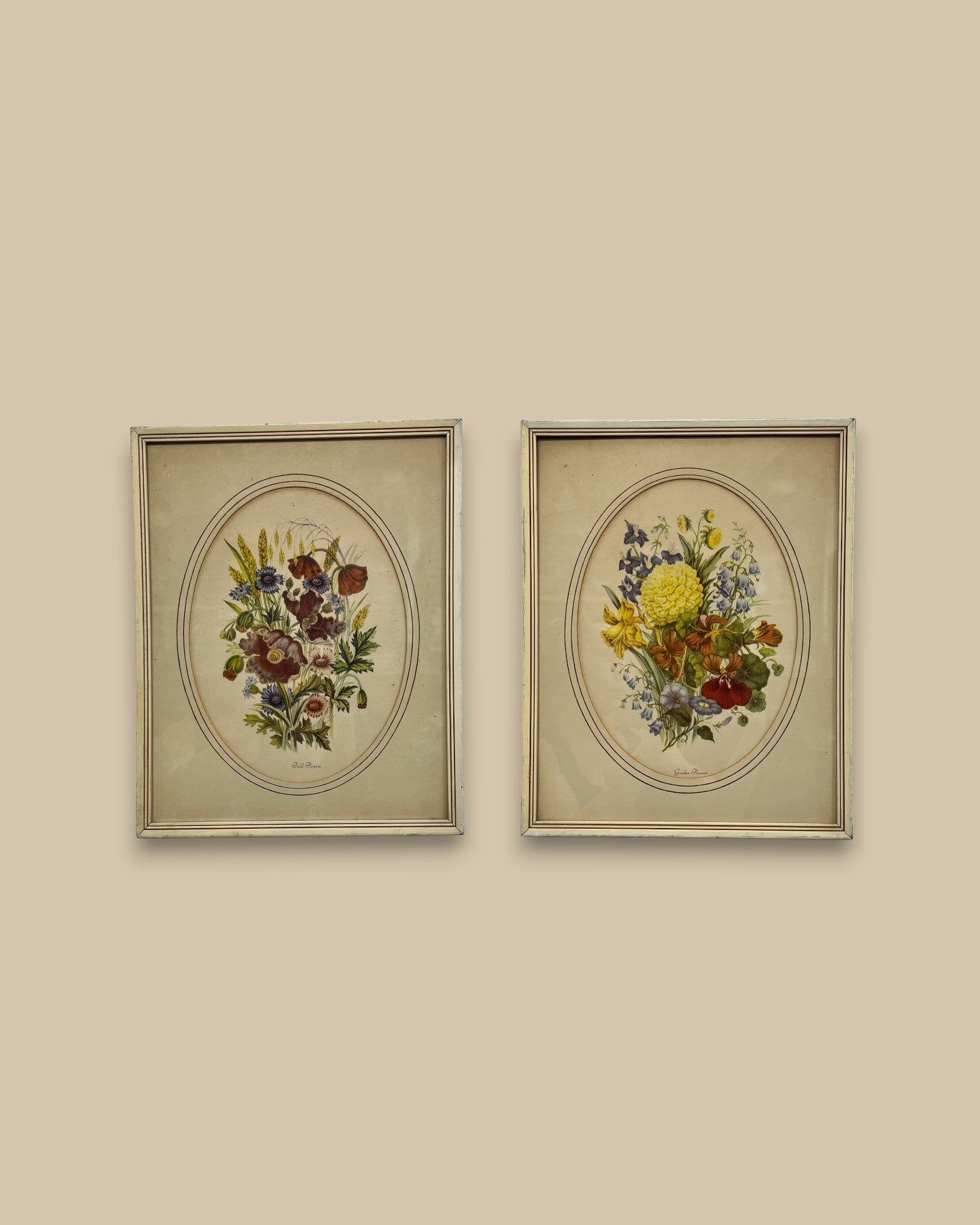 Framed Vintage Botanical Prints