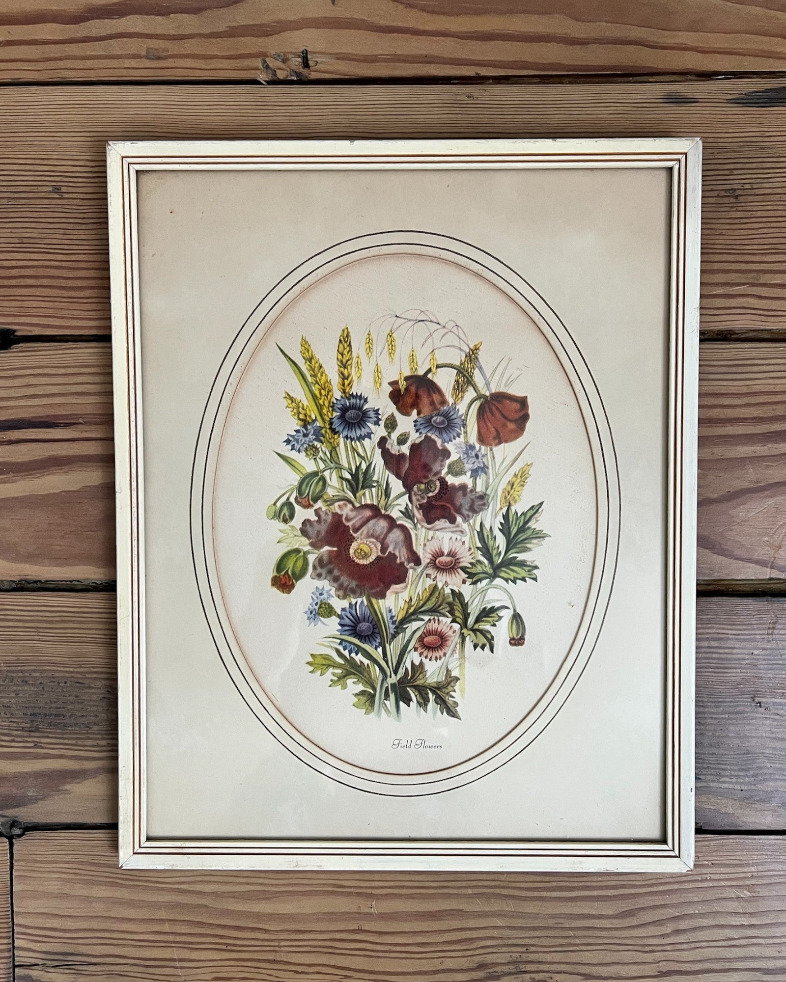 Framed Vintage Botanical Prints