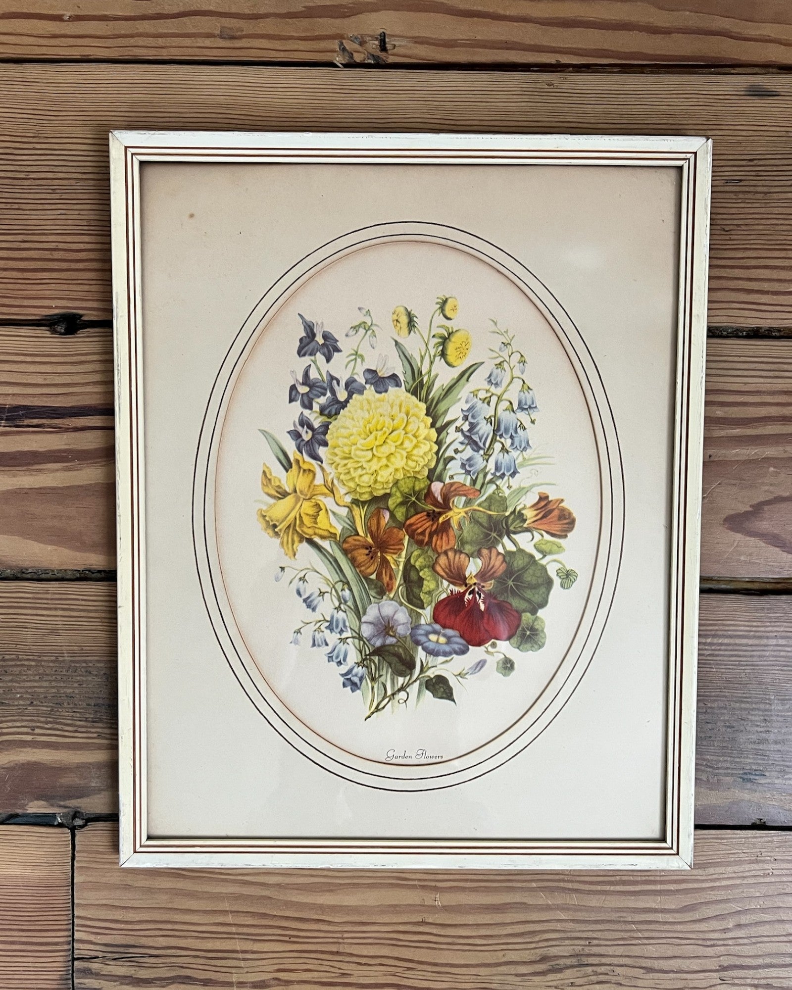 Framed Vintage Botanical Prints