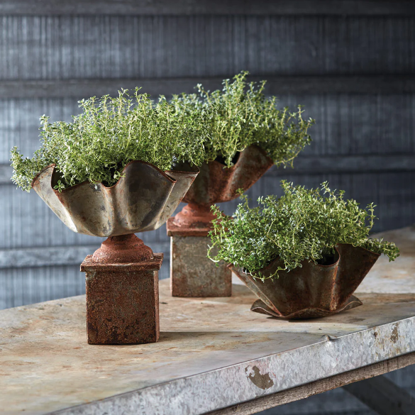GALVANIZED HANDKERCHIEF POT