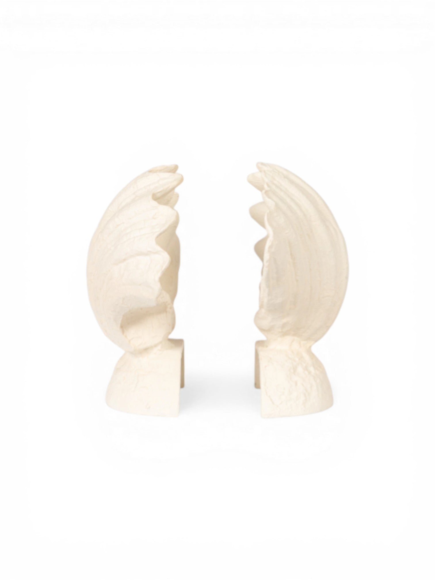 The Drift Shell Duo Bookends