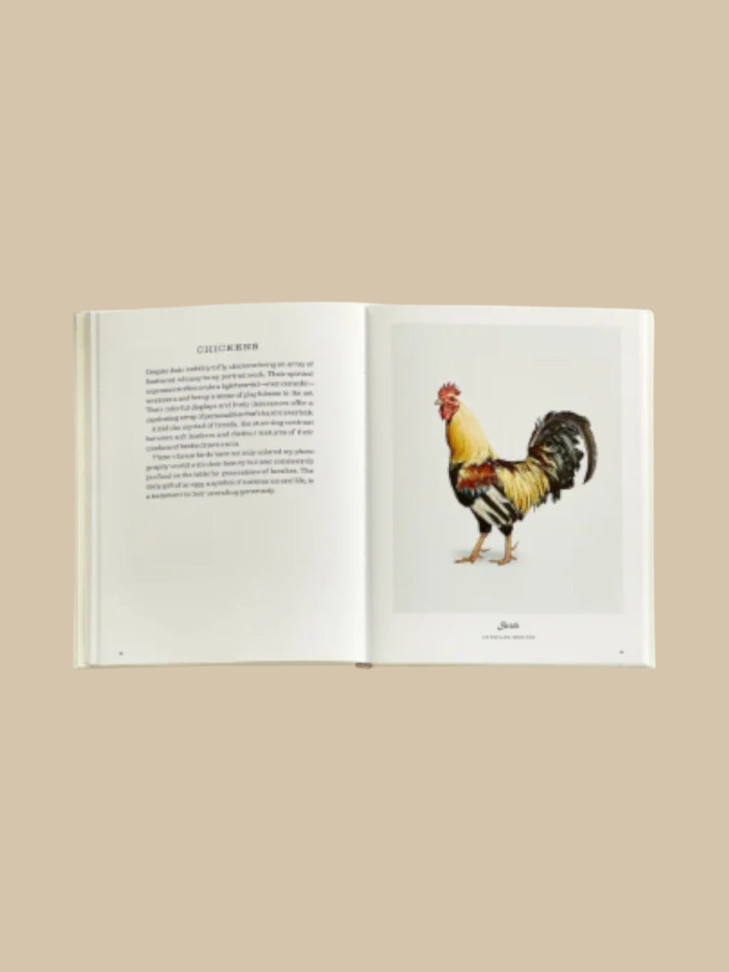 Farm Life: A Collection of Animal Portraits by Randal Ford