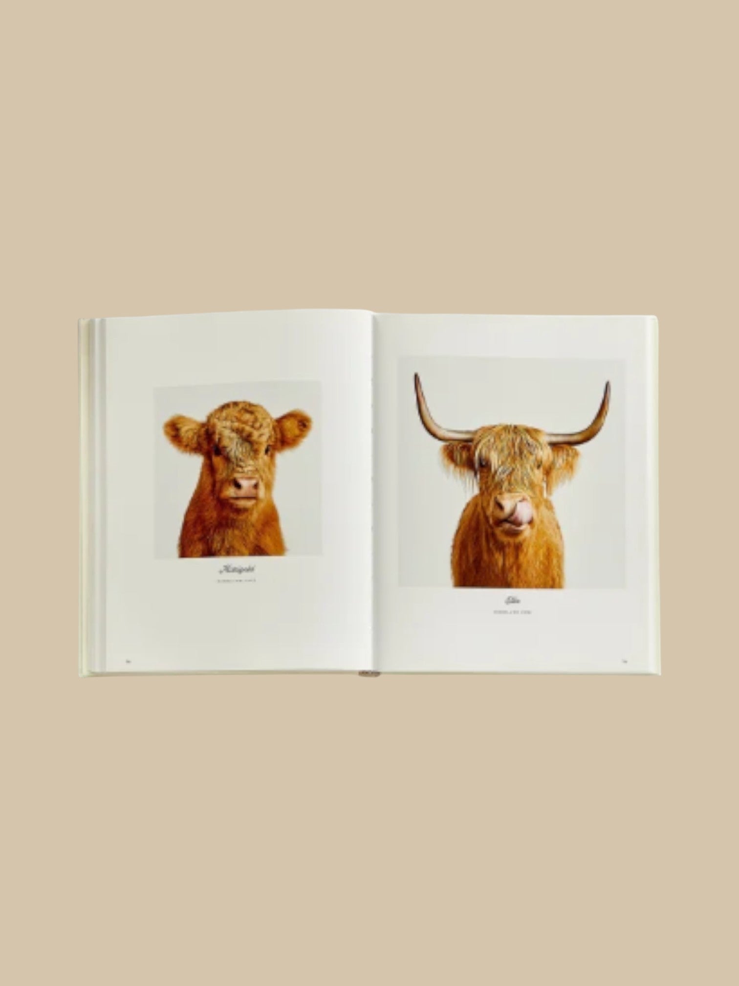 Farm Life: A Collection of Animal Portraits by Randal Ford