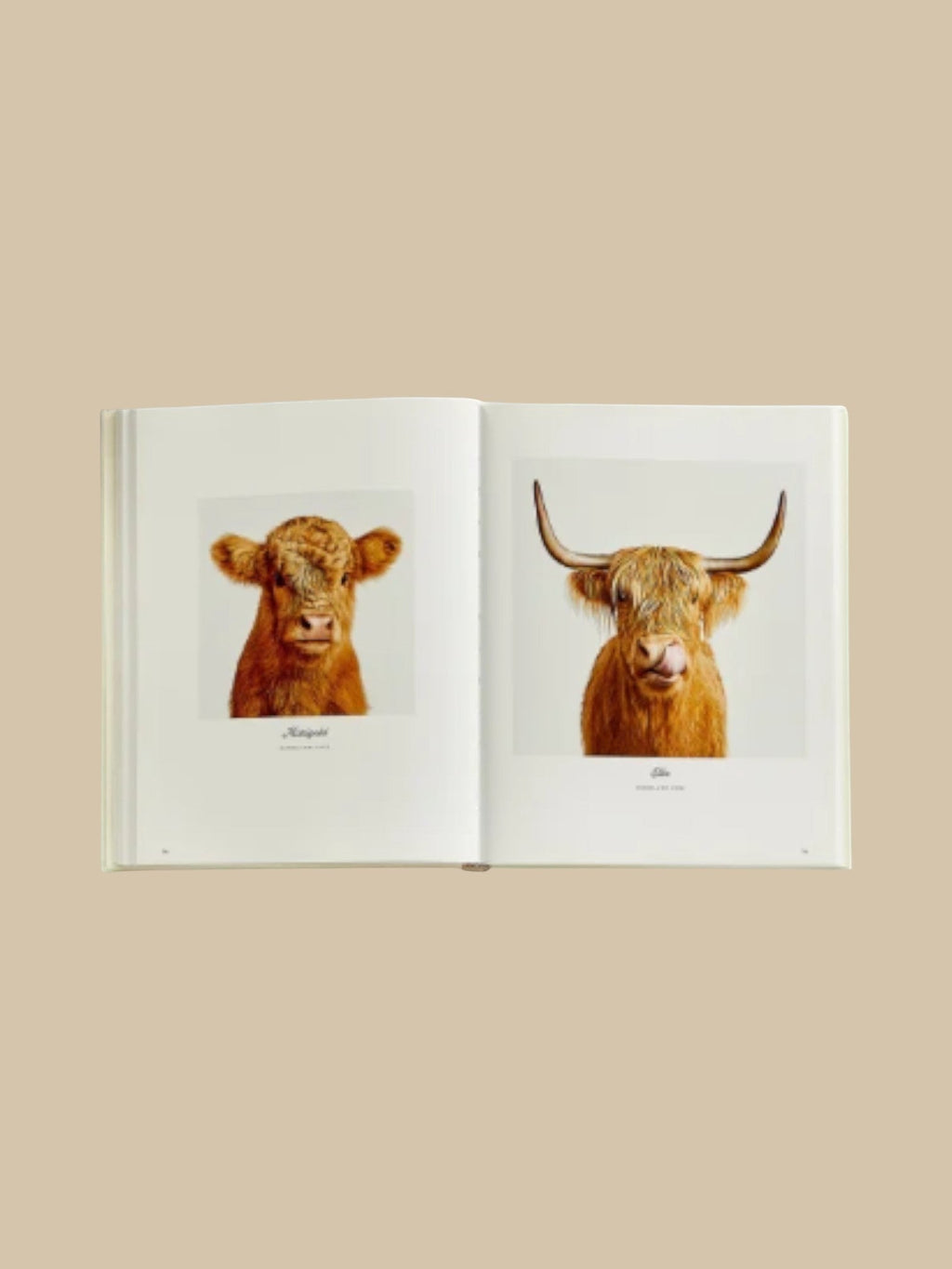 Farm Life: A Collection of Animal Portraits by Randal Ford