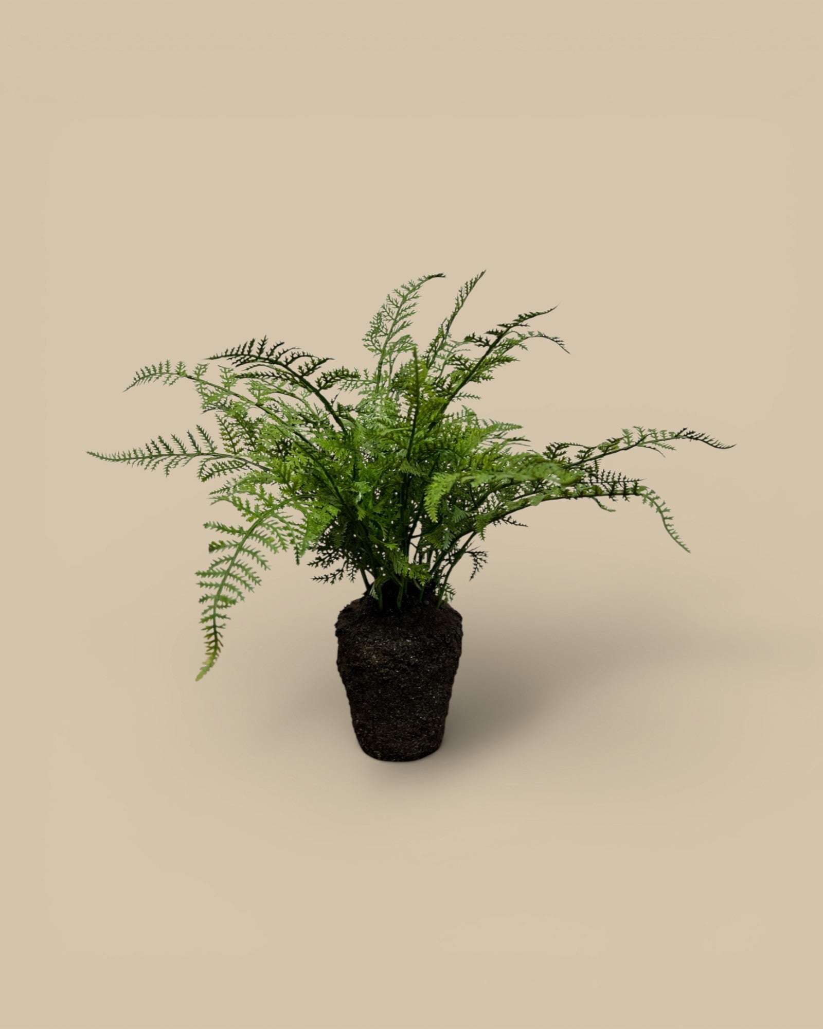 Soft Fern Drop-in 10.5"