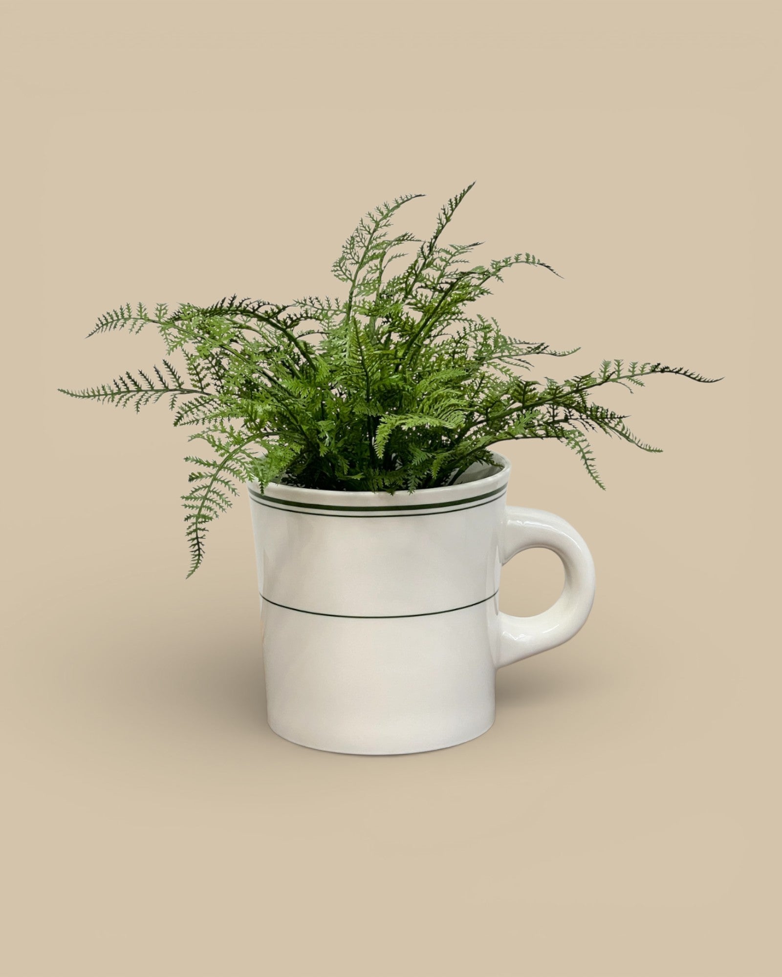Soft Fern Drop-in 10.5"