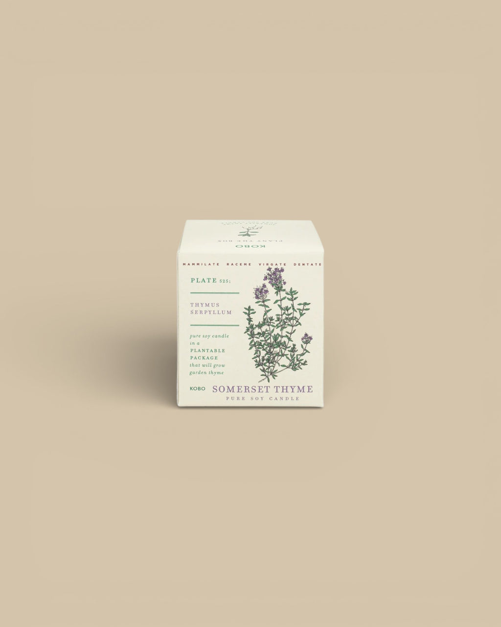 Somerset Thyme Candle