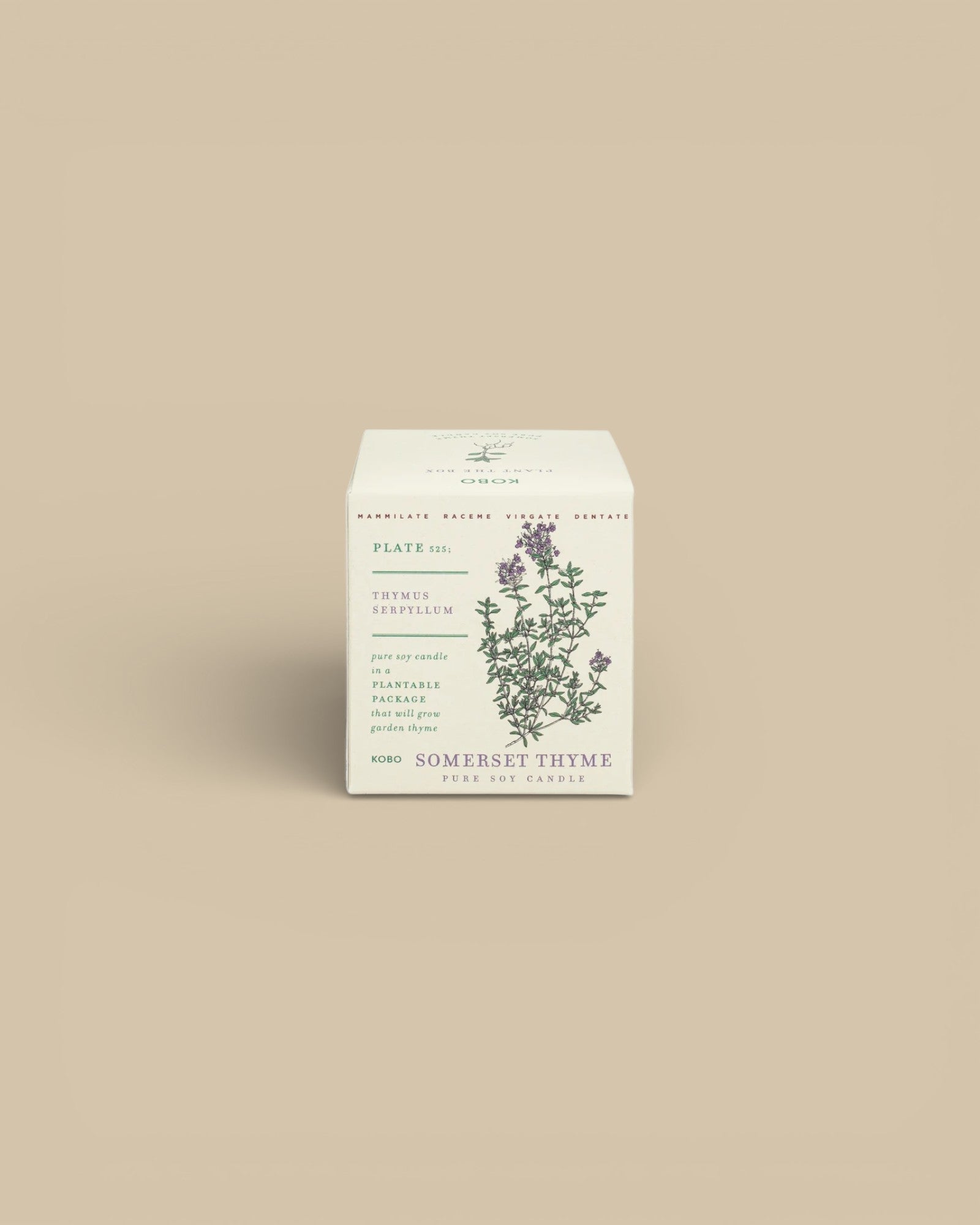 Somerset Thyme Candle