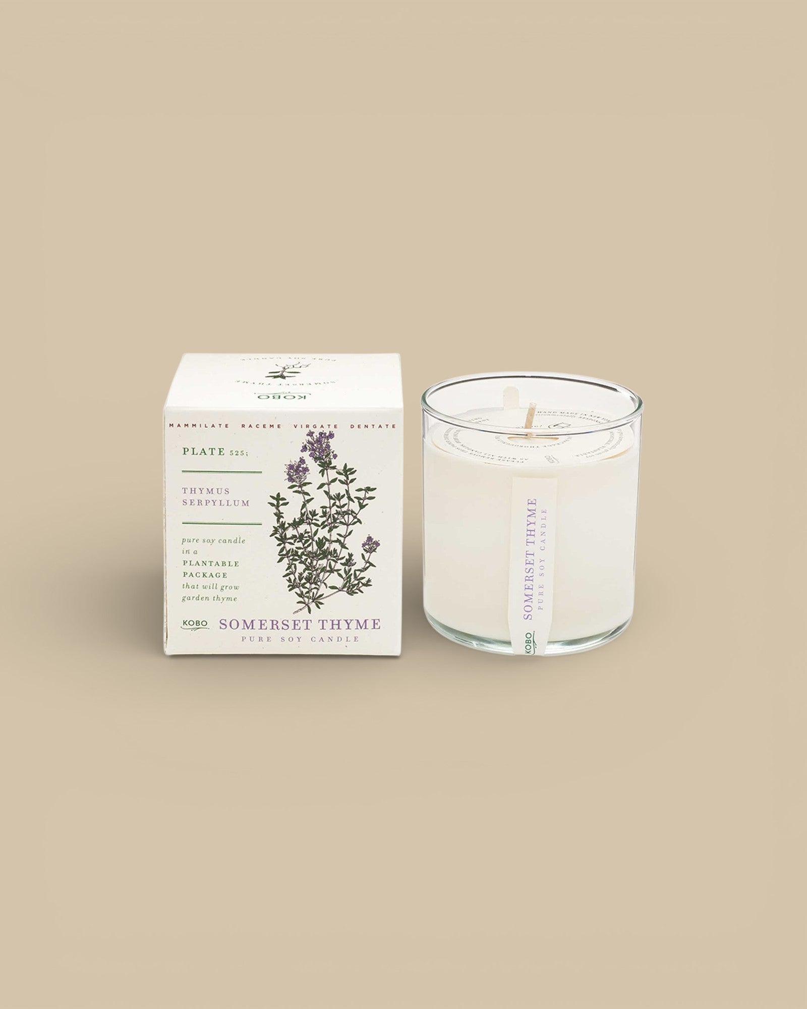 Somerset Thyme Candle