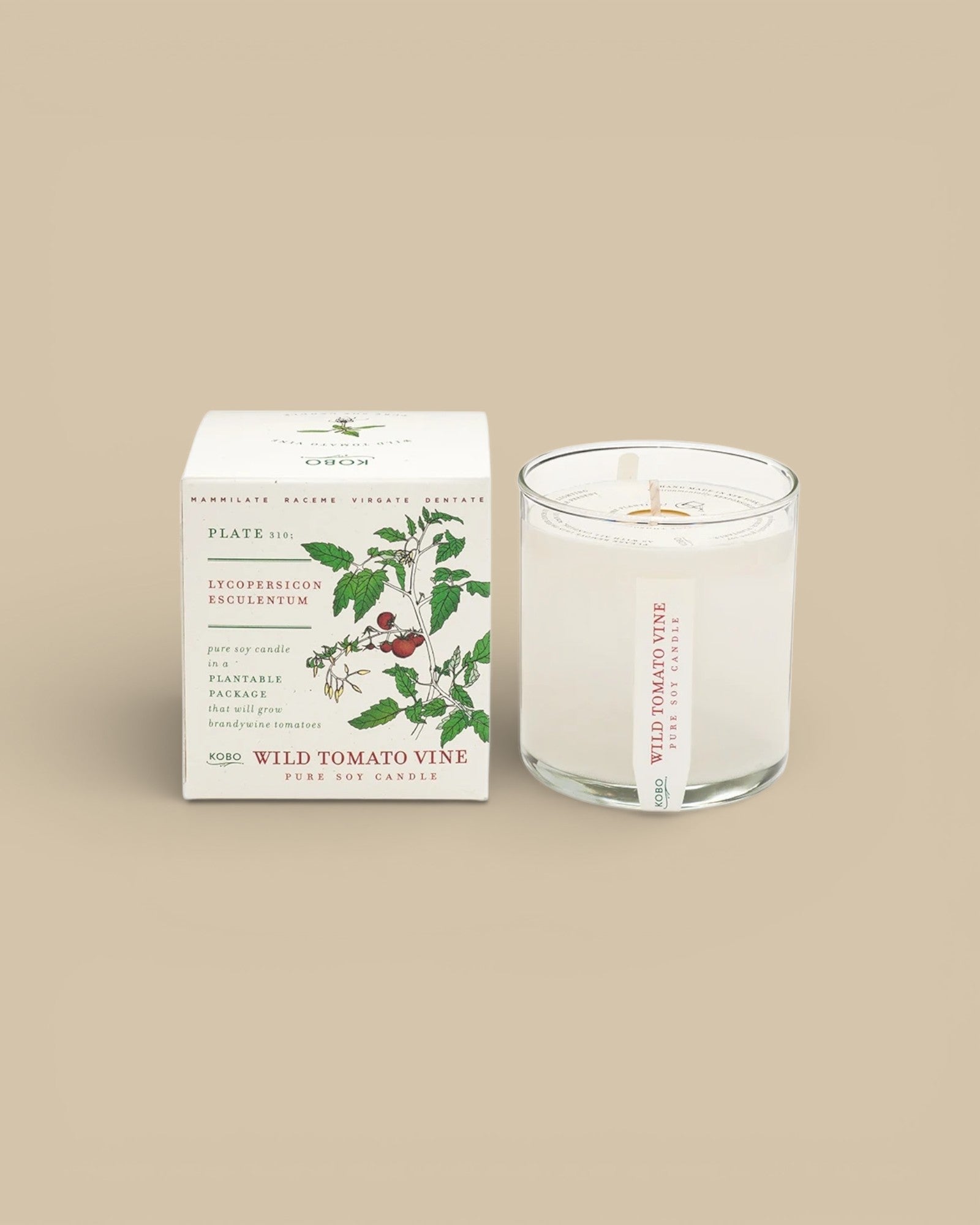Wild Tomato Vine Candle