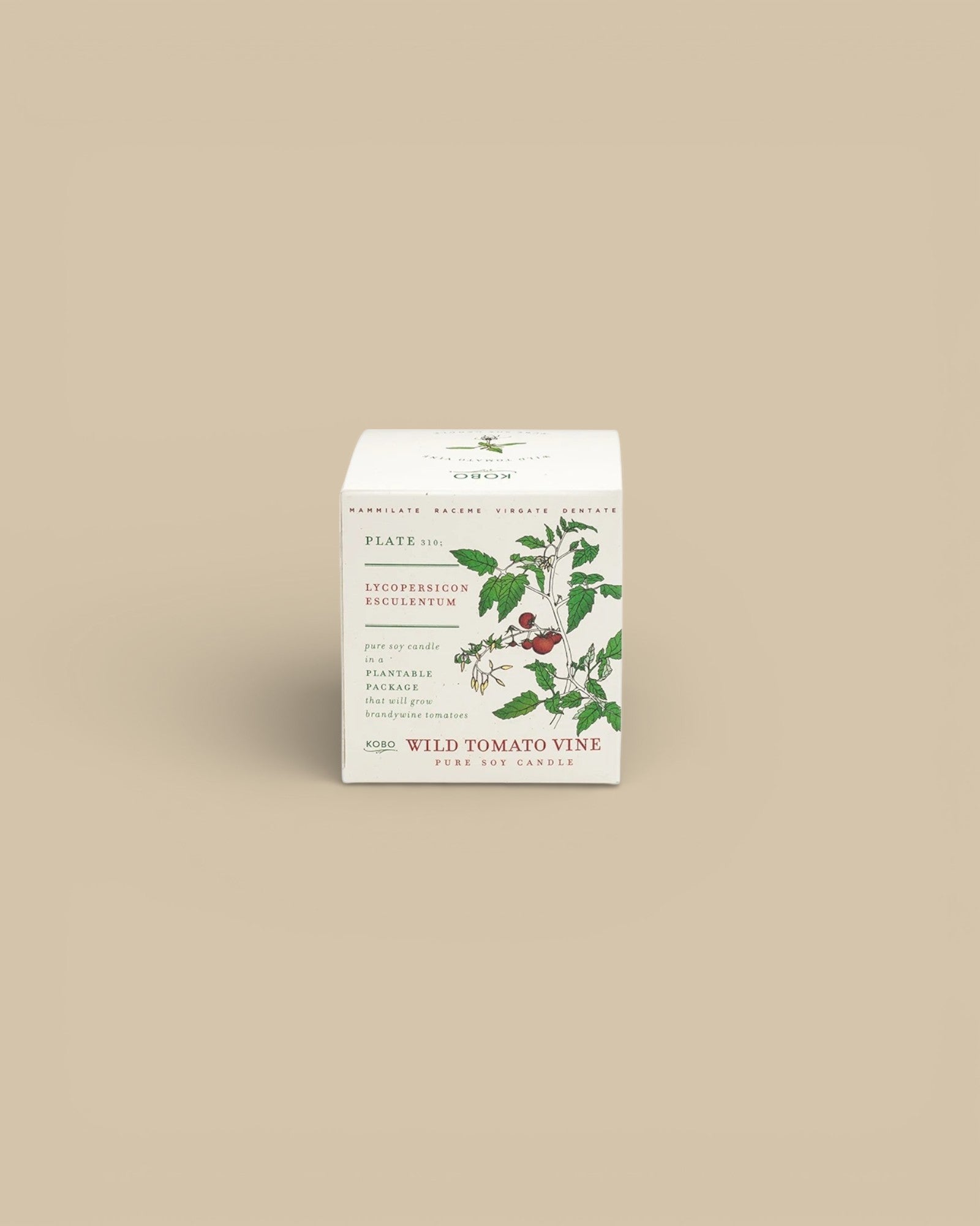 Wild Tomato Vine Candle