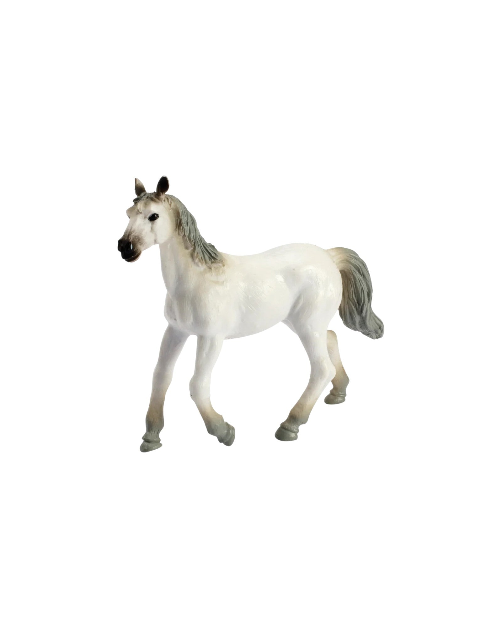Wild West Horses