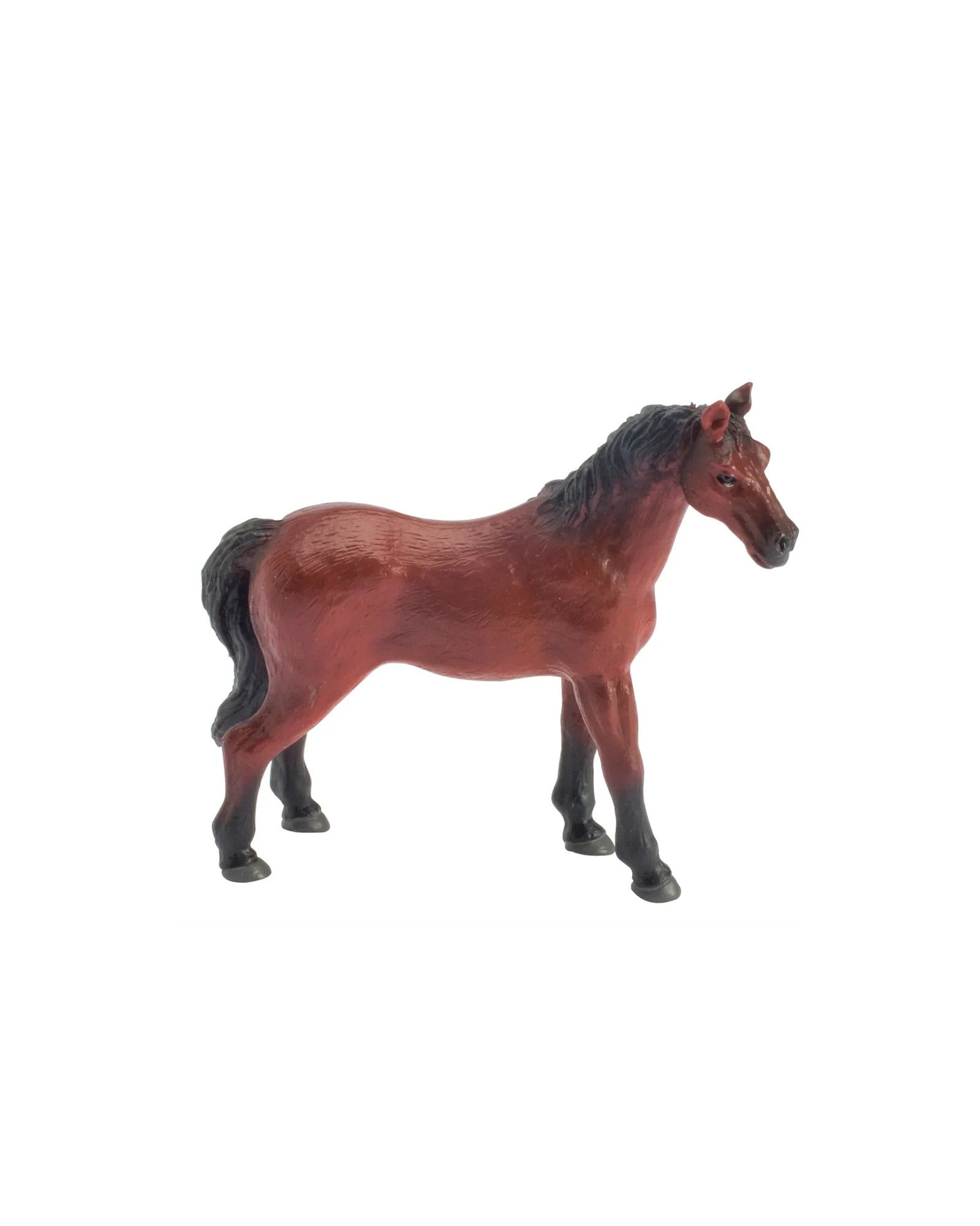 Wild West Horses