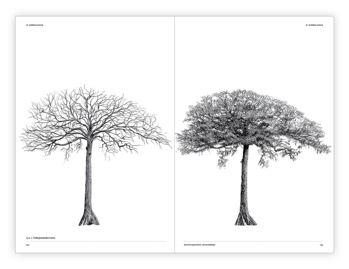 The Architecture of Trees Hardcover Book