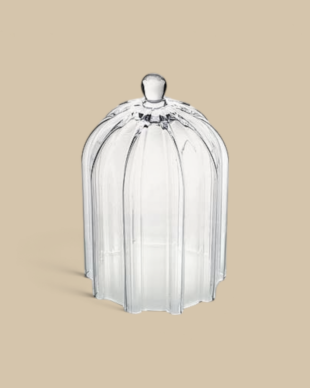Homestyle Collective 10.5-inch clear glass cloche with vertical ribbed detailing and a scalloped base.