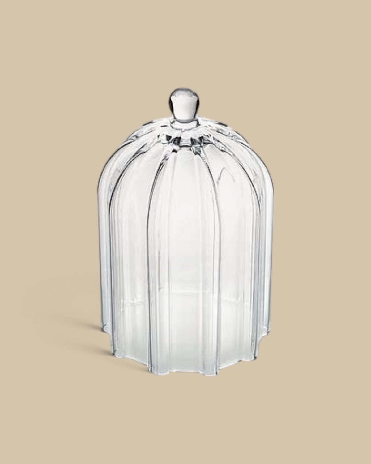 Homestyle Collective 10.5-inch clear glass cloche with vertical ribbed detailing and a scalloped base.