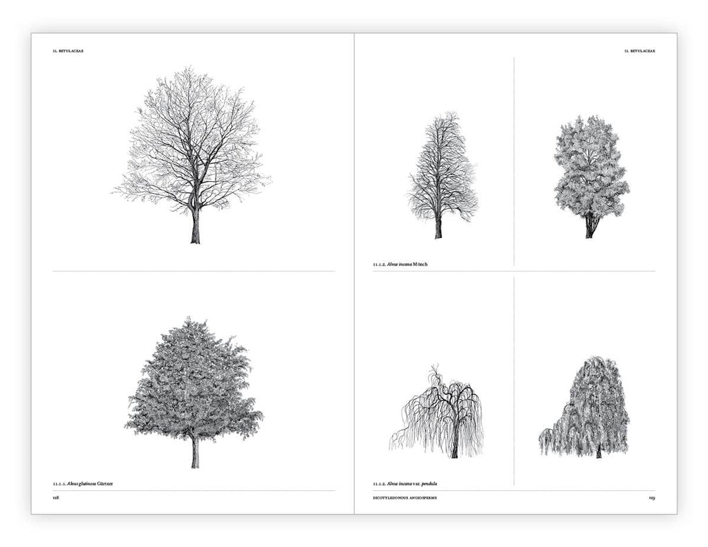 The Architecture of Trees Hardcover Book