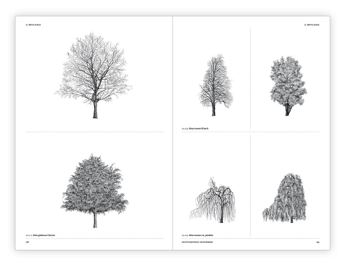 The Architecture of Trees Hardcover Book