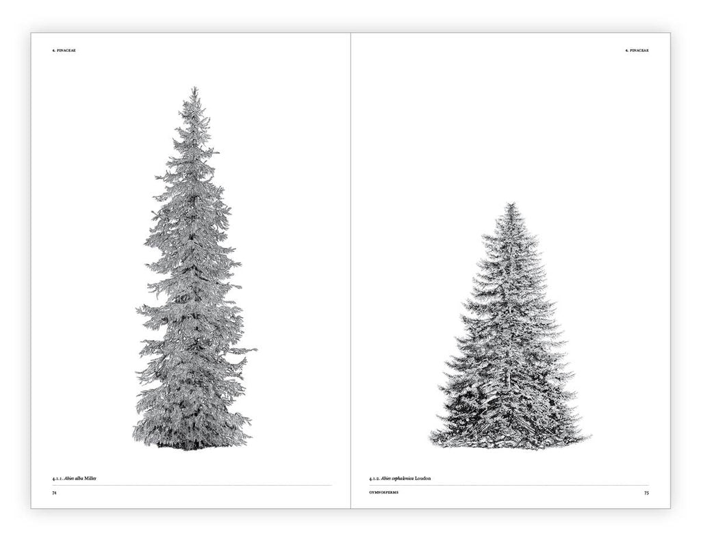 The Architecture of Trees Hardcover Book