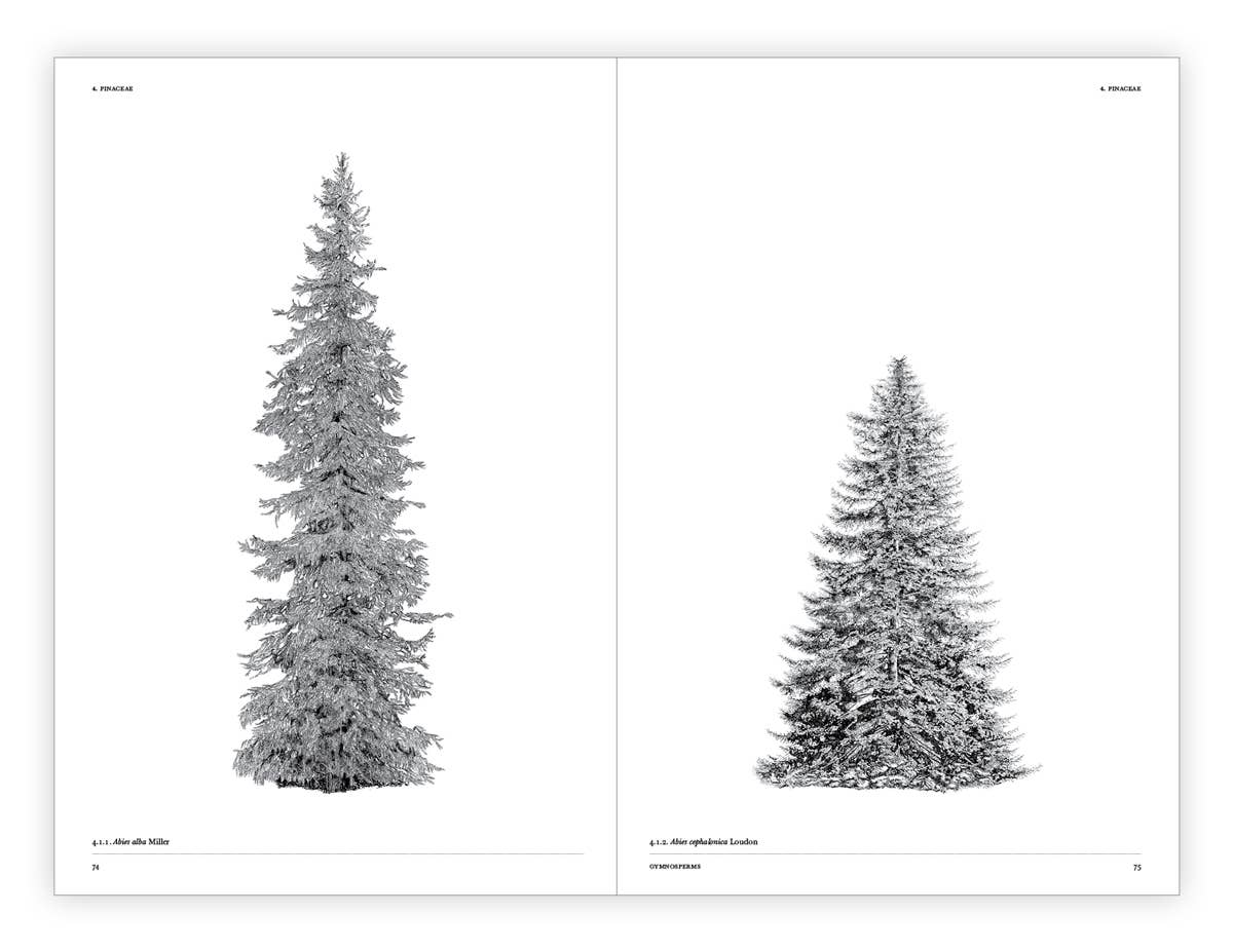 The Architecture of Trees Hardcover Book