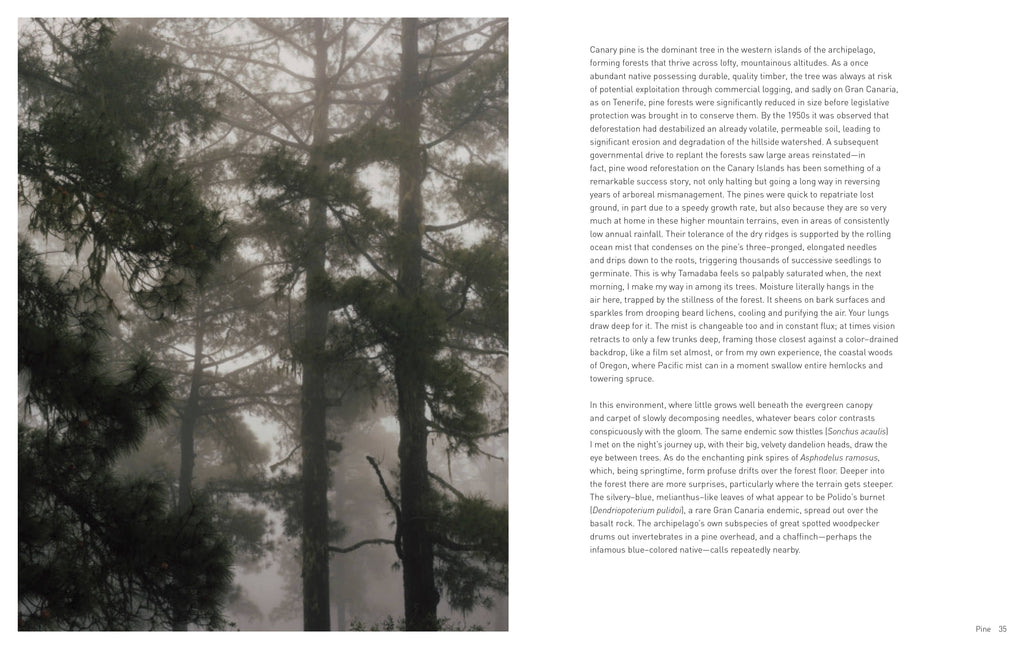 Forest Hardcover Book