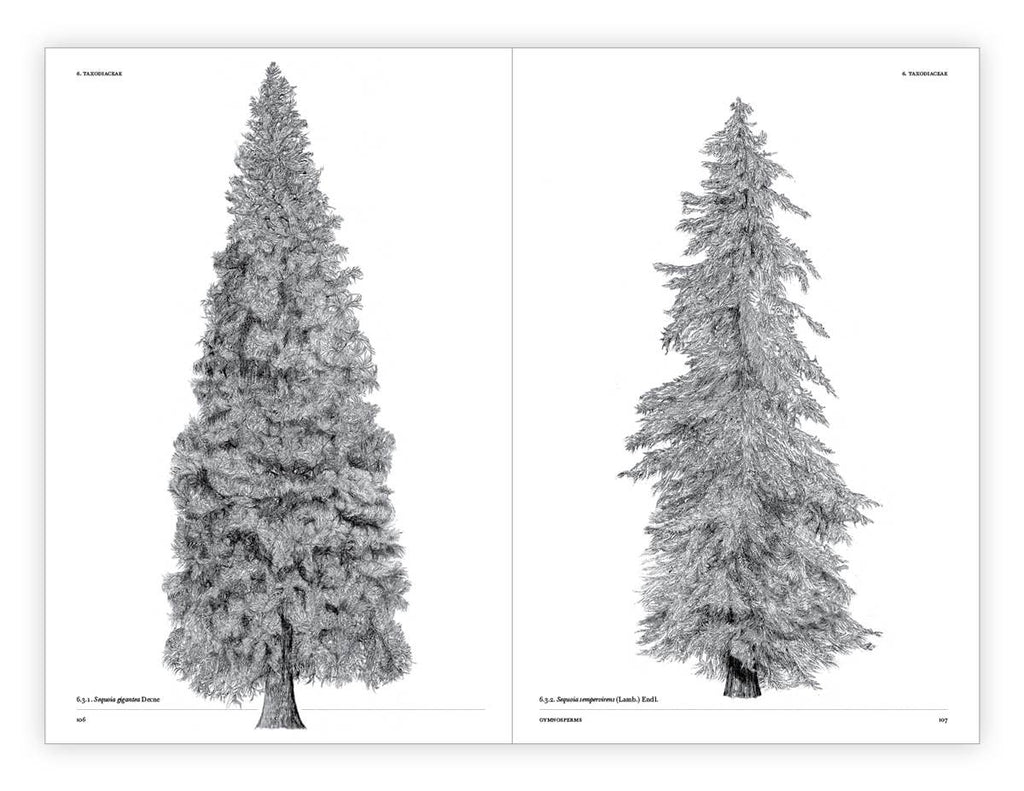 The Architecture of Trees Hardcover Book